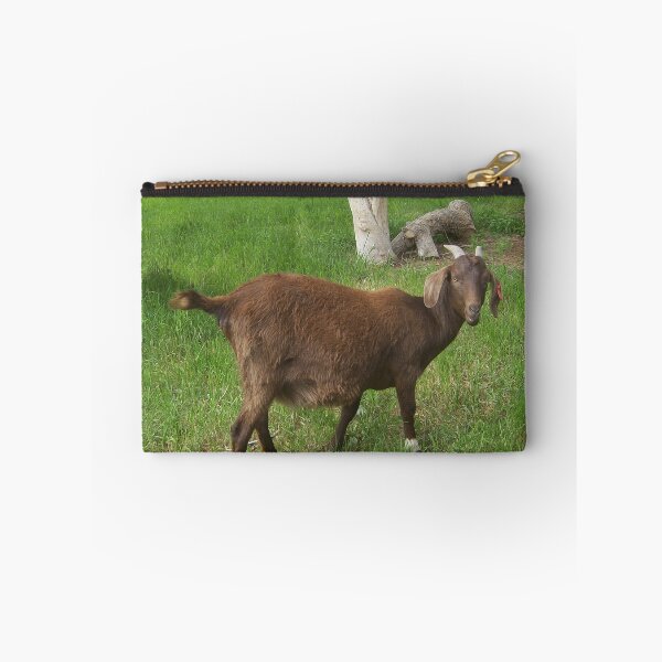 Item preview, Solo Brown Goat designed and sold by dogplay.
