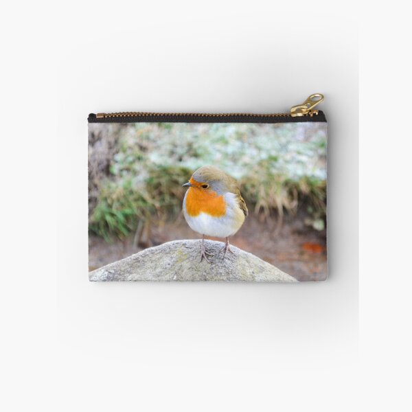 Item preview, Little Robin designed and sold by DiddyH.