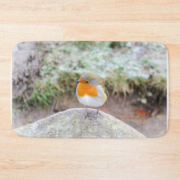 Item preview, Little Robin designed and sold by DiddyH.