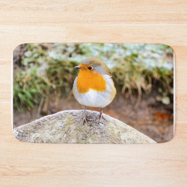 Item preview, Robin designed and sold by DiddyH.