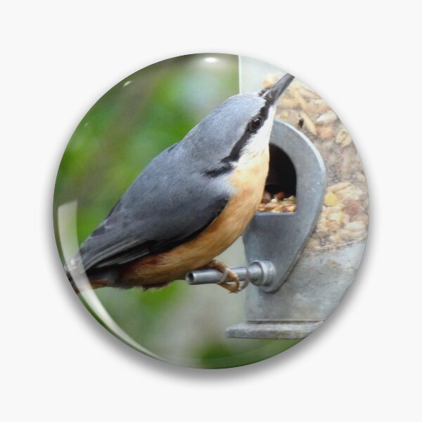 Item preview, nuthatch designed and sold by KathleenDawson.
