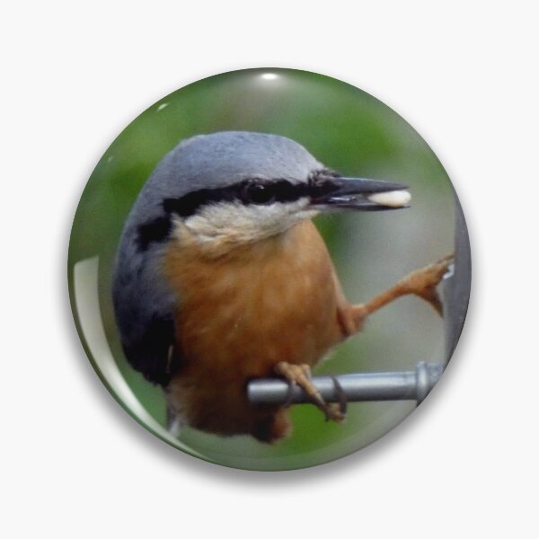 Item preview, nuthatch designed and sold by KathleenDawson.