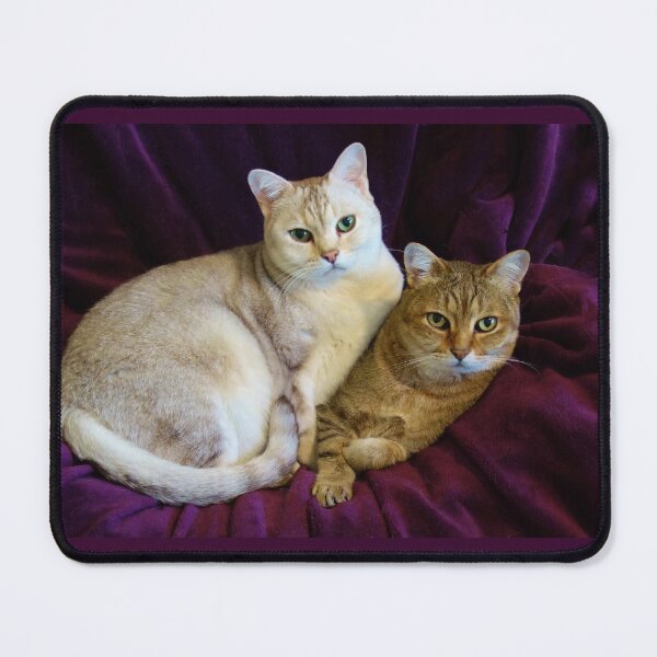 Item preview, burmilla boys designed and sold by rogersmith.