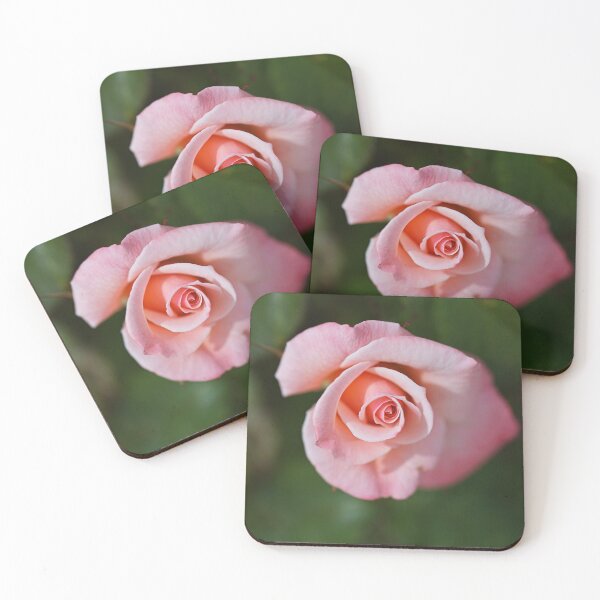 Item preview, Apricot Rose Has Elegance designed and sold by Joy Watson - Natural Light Photography .
