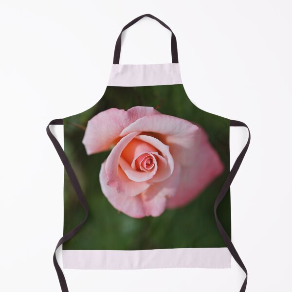 Item preview, Apricot Rose Has Elegance designed and sold by Joy Watson - Natural Light Photography .