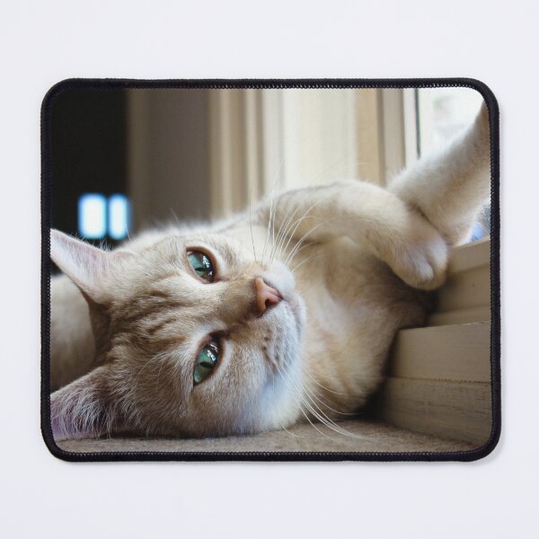 Item preview, "chillout" designed and sold by rogersmith.