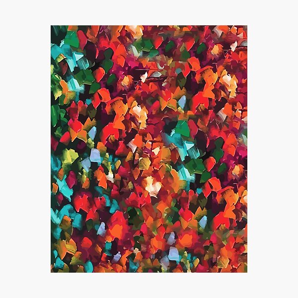 Colorful Patterns Photographic Print