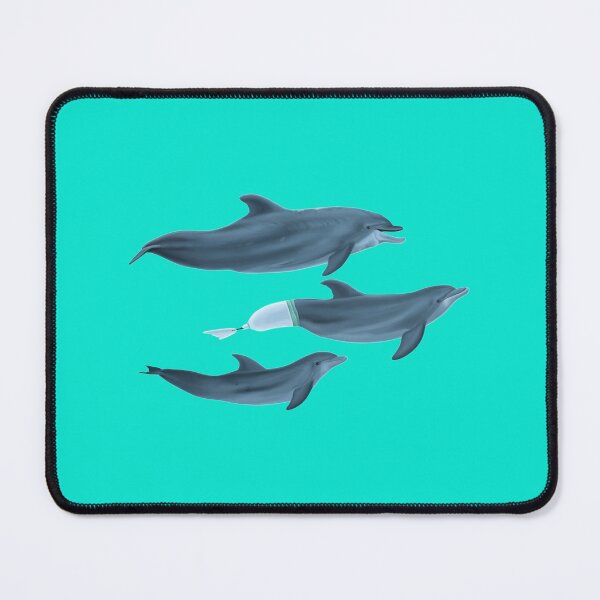 Item preview, The Clearwater Dolphins designed and sold by LifeShiness.