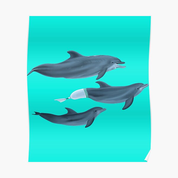 Poster Dolphins trio - portrait