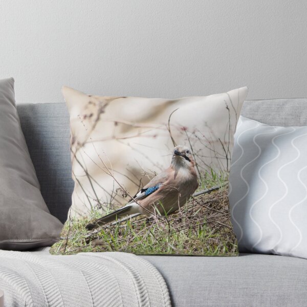 Item preview, The bird. The Eurasian jay (Garrulus glandarius) among the lush grass designed and sold by aquapixel.