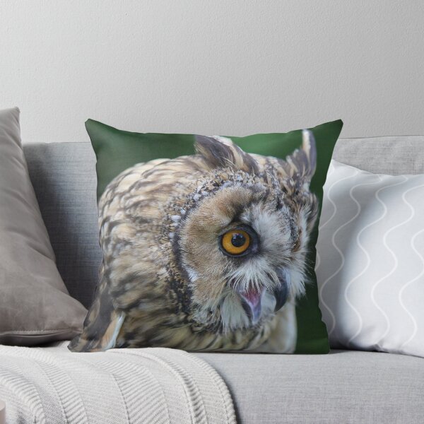 Item preview, Long eared owl designed and sold by Dave646.