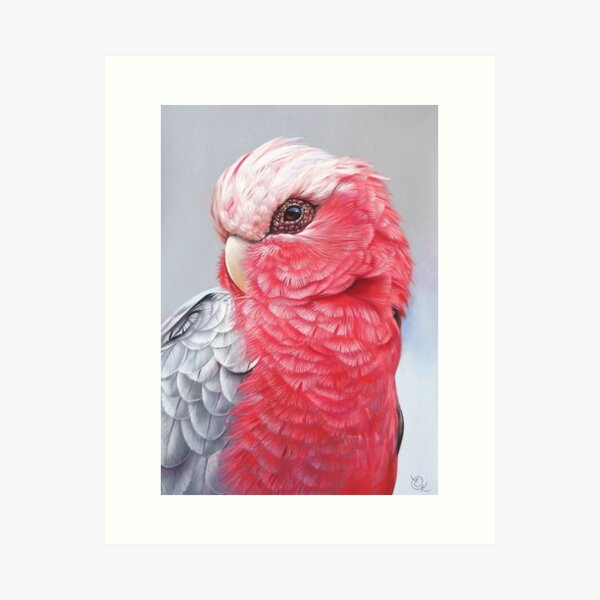 Item preview, "Galah" designed and sold by Elena Kolotusha.