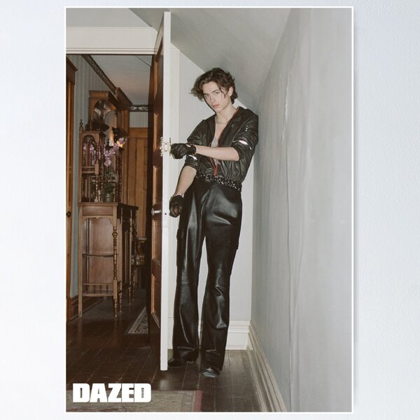 timothee chalamet DAZED magazine china Poster