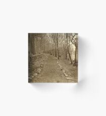 A walk in the woods Acrylic Block