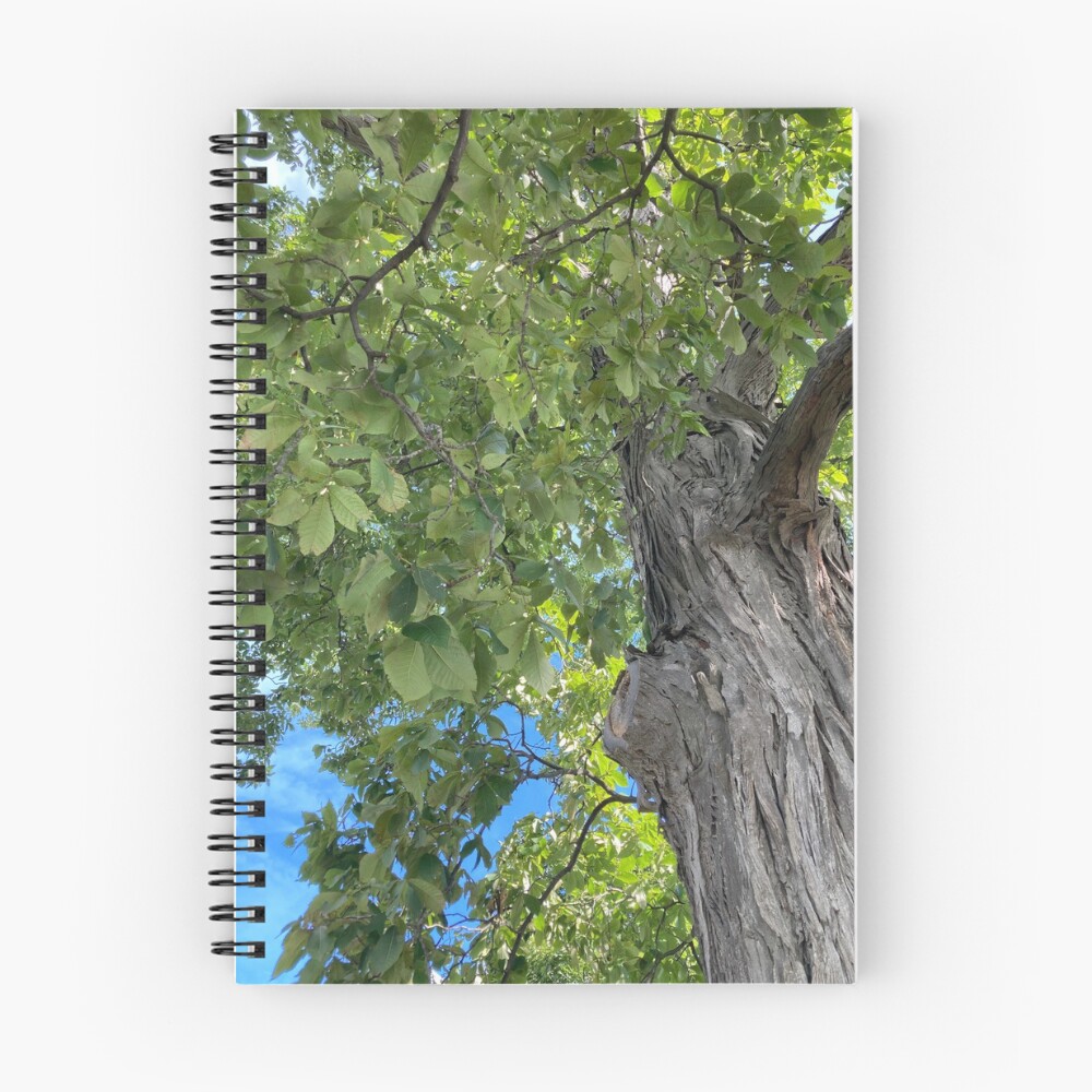 Item preview, Spiral Notebook designed and sold by MigMeg.