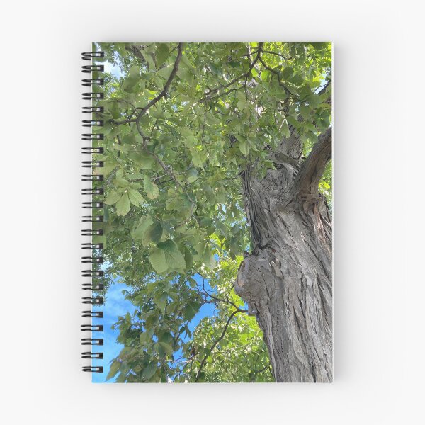 Item preview, Árbol designed and sold by Casper Creek.