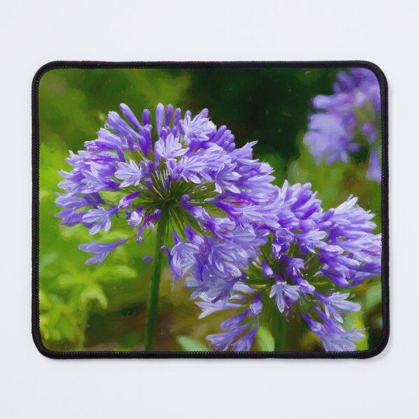 Item preview, Agapanthus Africanus Blue Brush designed and sold by Tanya C  Smith.