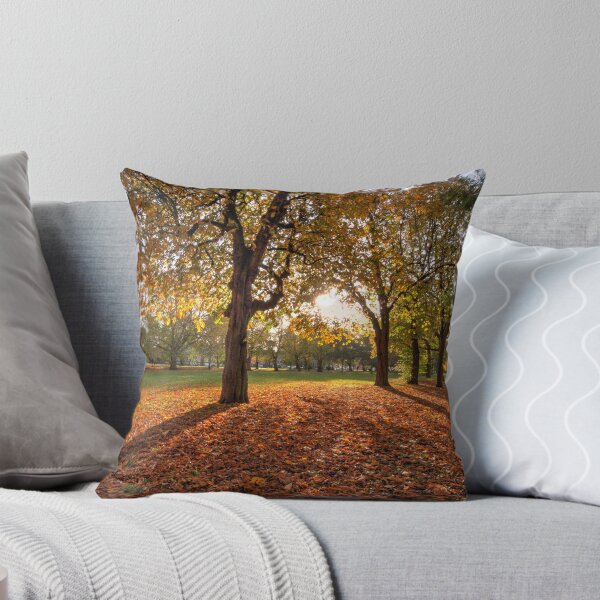 Item preview, Autumn in Victoria Park designed and sold by jonopeek.
