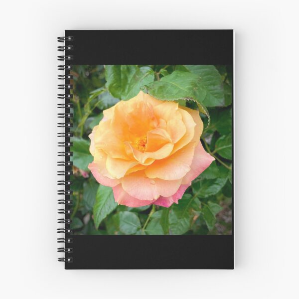 Item preview, Many Hued Rose designed and sold by KazM.
