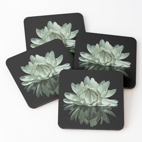 Item preview, Giant Amazon Waterlily designed and sold by rogersmith.
