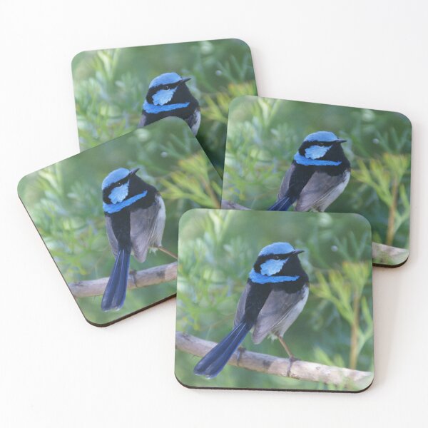 Item preview, Superb Fairy-wren designed and sold by rogersmith.