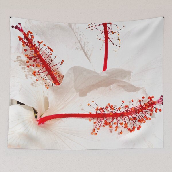 Item preview, Romantic Dusty Pink Hibiscus Flowers with Bright Red Stamen designed and sold by Jaydee001.