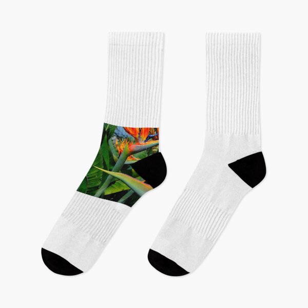Item preview, Birds of Paradise designed and sold by Wildwales.