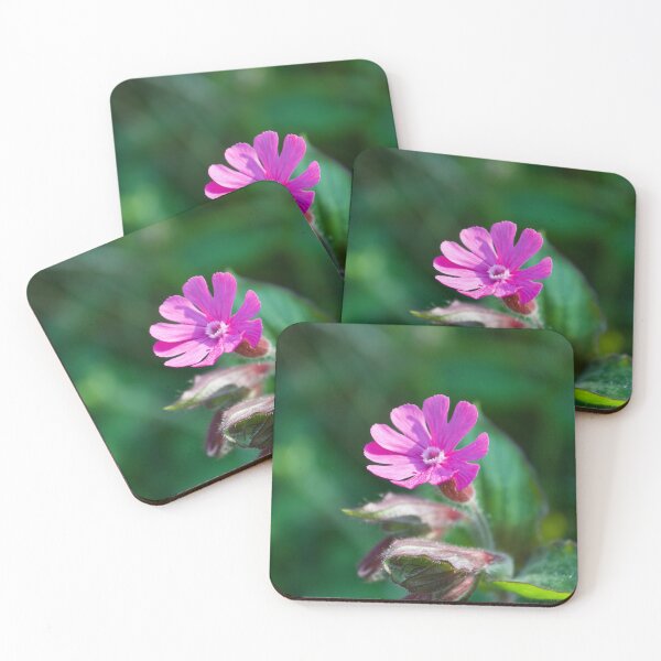 Item preview, Pretty Pink Flower (Red Campion Wildflower) designed and sold by thelemmingface.
