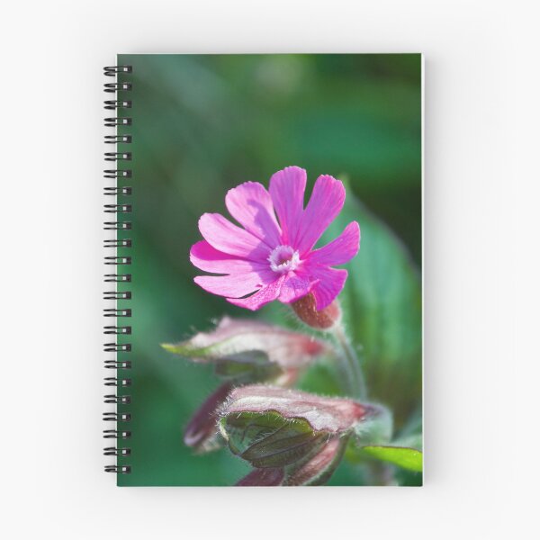 Item preview, Pretty Pink Flower (Red Campion Wildflower) designed and sold by thelemmingface.