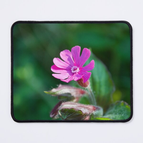 Item preview, Pretty Pink Flower (Red Campion Wildflower) designed and sold by thelemmingface.