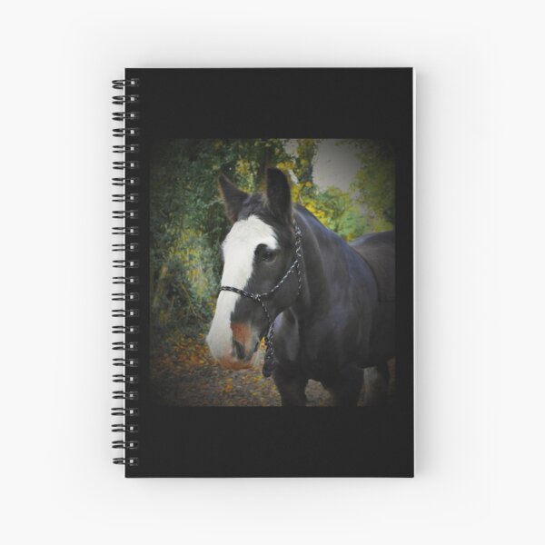 Turbo's Collection Spiral Notebook