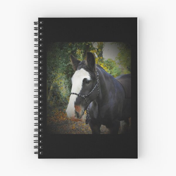Item preview, Turbo's  Collection designed and sold by KingsmeadHorses.