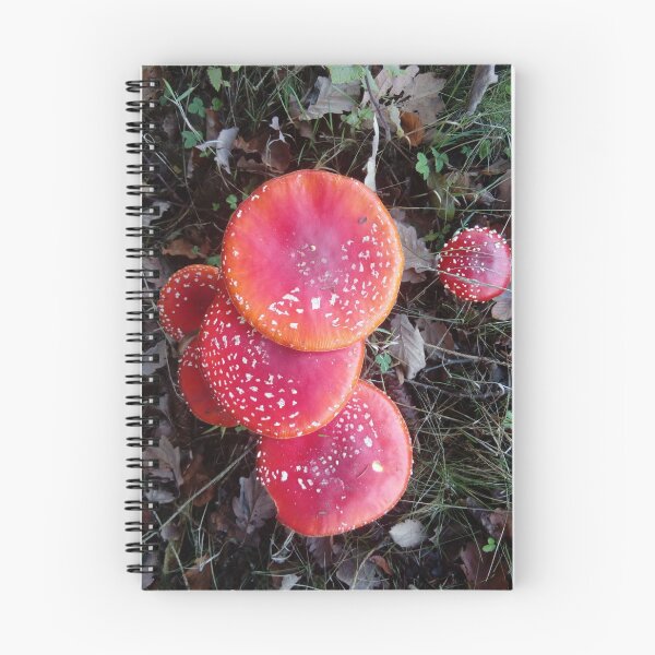 Item preview, Amanita inquietante de cuento de hadas designed and sold by myriam eyann.