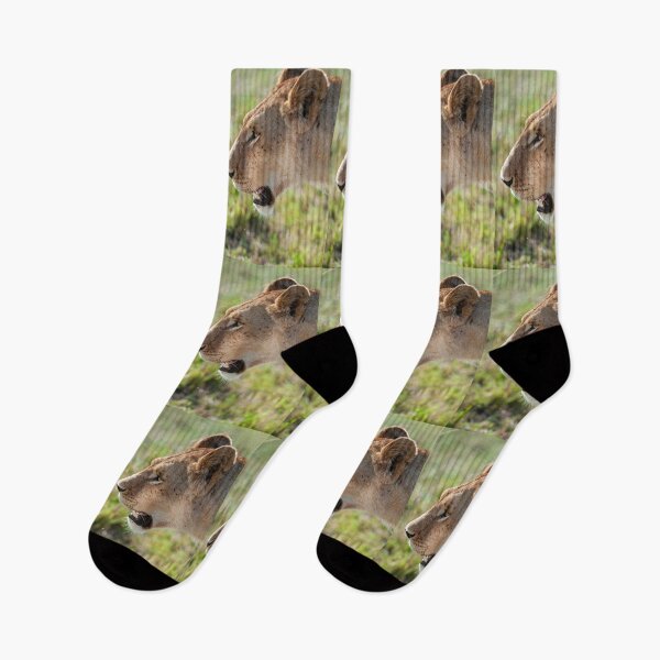 Item preview, Lioness in the morning light designed and sold by Ingo Gerlach.