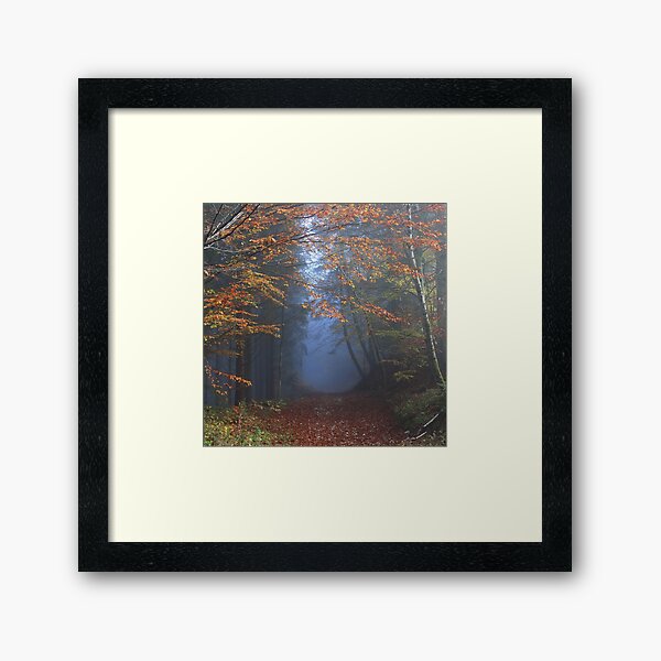 Item preview, Balade en forêt dans les Vosges, automne en France designed and sold by Imladris01.