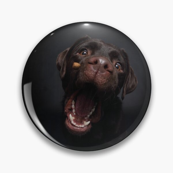 Item preview, Snap Photo Labrador designed and sold by JeanettesPets.