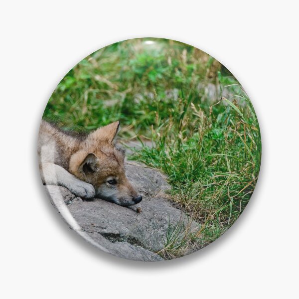 Item preview, Timber Wolf Pup designed and sold by WolvesOnly.