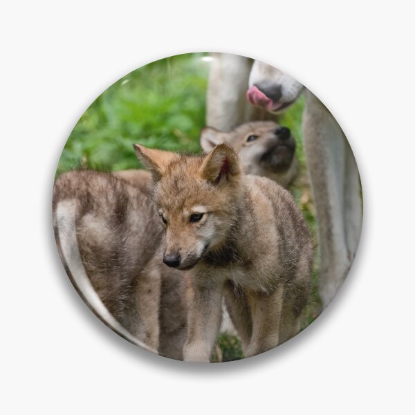Artikelvorschau, Timber Wolf And Pups entworfen und verkauft von WolvesOnly.