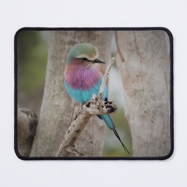 Item preview, Vermillion Flycatcher designed and sold by KDQuin .