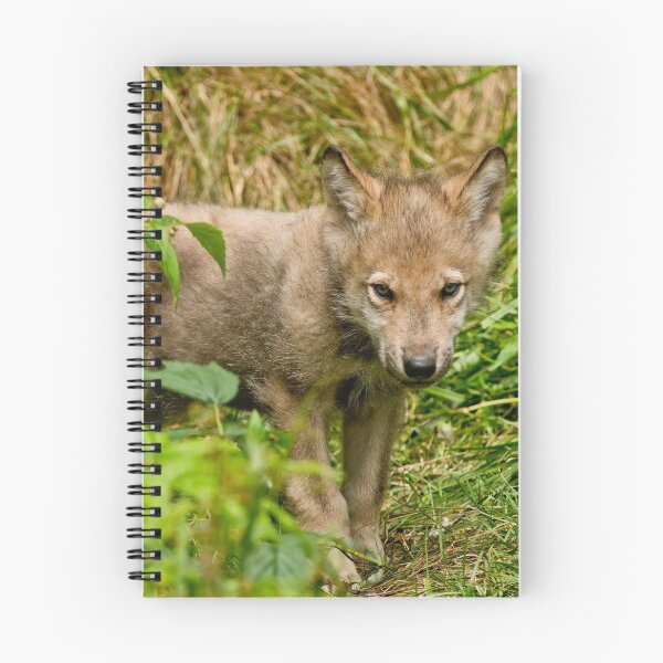 Item preview, Timber Wolf Pup designed and sold by WolvesOnly.