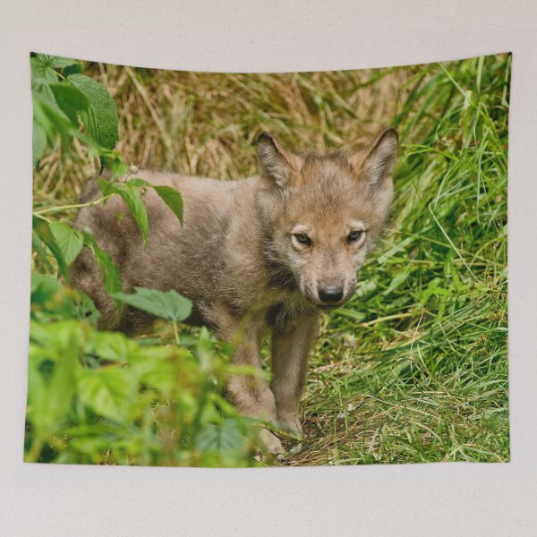 Item preview, Timber Wolf Pup designed and sold by WolvesOnly.