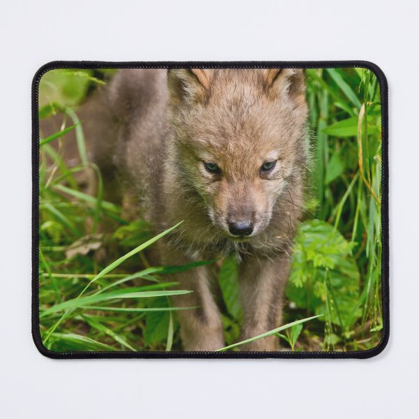 Item preview, Timber Wolf Pup designed and sold by WolvesOnly.