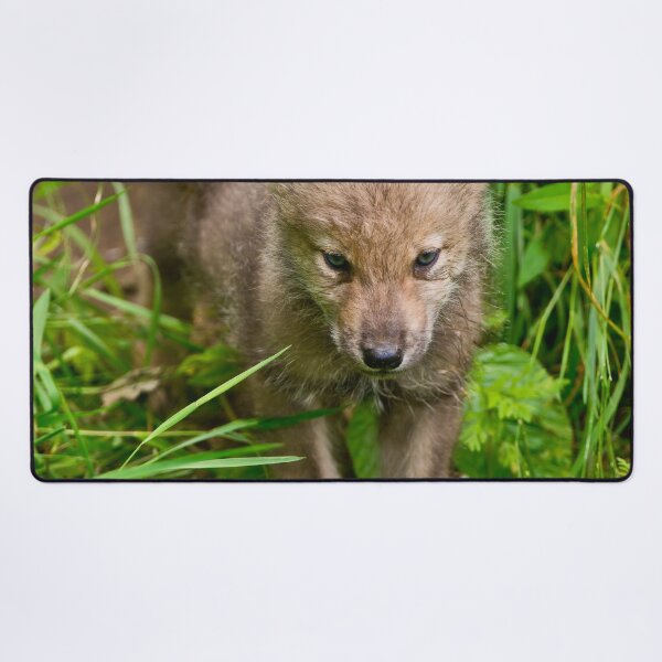 Item preview, Timber Wolf Pup designed and sold by WolvesOnly.
