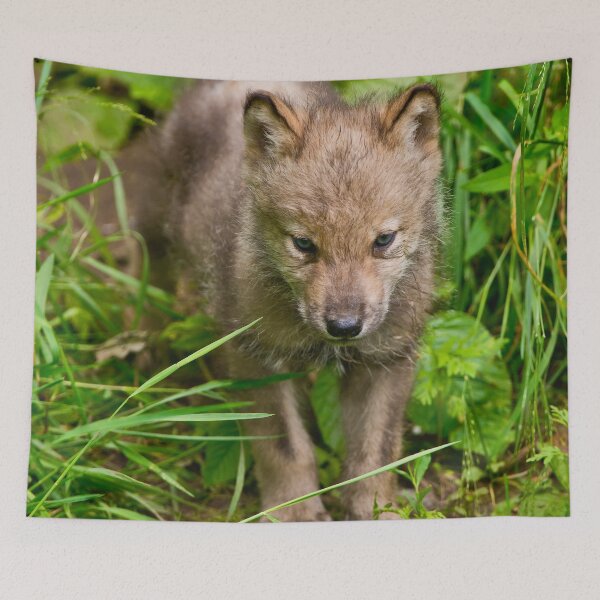 Item preview, Timber Wolf Pup designed and sold by WolvesOnly.