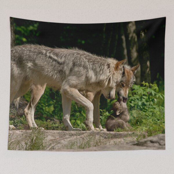 Item preview, Timber Wolf And Pup designed and sold by WolvesOnly.