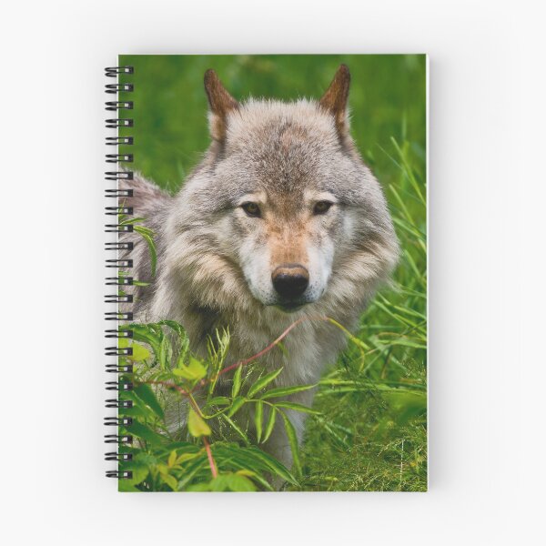 Item preview, Timber Wolf designed and sold by WolvesOnly.