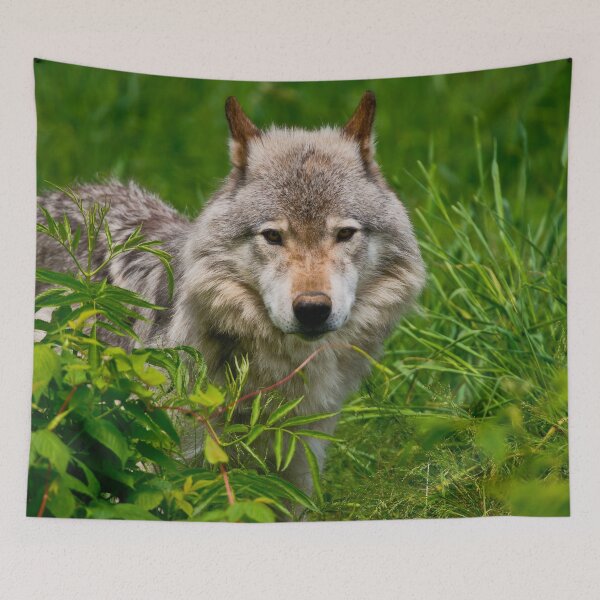 Item preview, Timber Wolf designed and sold by WolvesOnly.