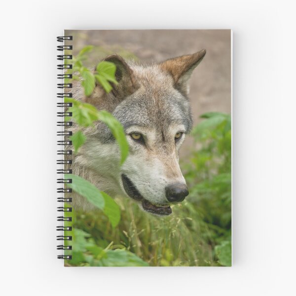 Artikelvorschau, Timber Wolf entworfen und verkauft von WolvesOnly.