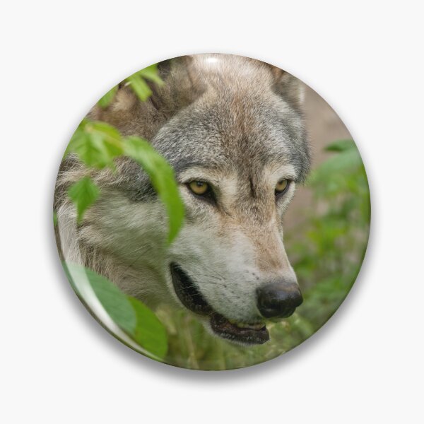 Artikelvorschau, Timber Wolf entworfen und verkauft von WolvesOnly.