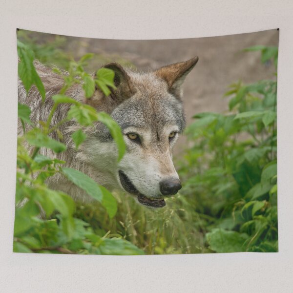 Artikelvorschau, Timber Wolf entworfen und verkauft von WolvesOnly.